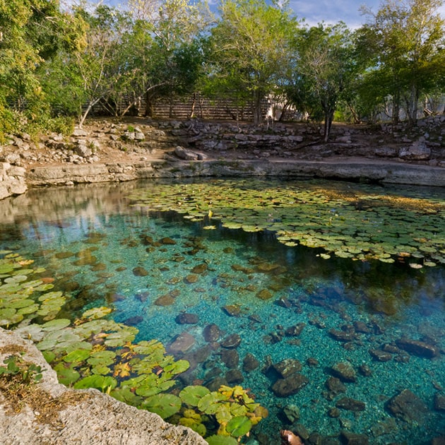 Visitar los cenotes cerca de Dzibilchaltún – YUCATÁN, MARAVILLAS NATURALES